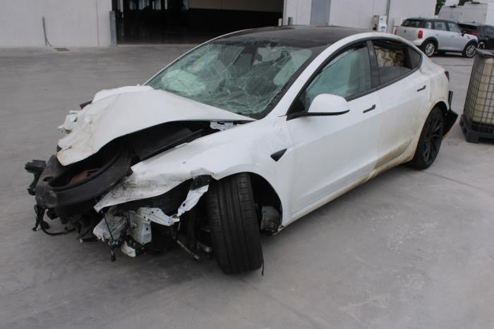 Tesla Model 3 Performance AWD 78 kWh  (Sloop)