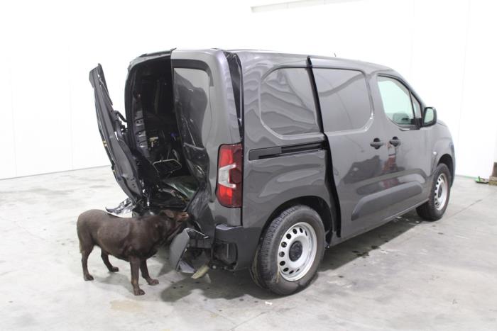 auto