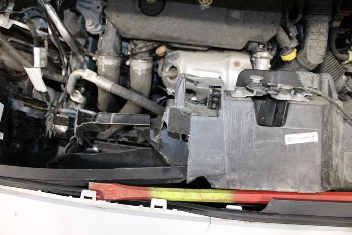 auto