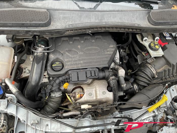 Ford Transit Connect 1.5 EcoBlue Sloopvoertuig (2019, Wit)