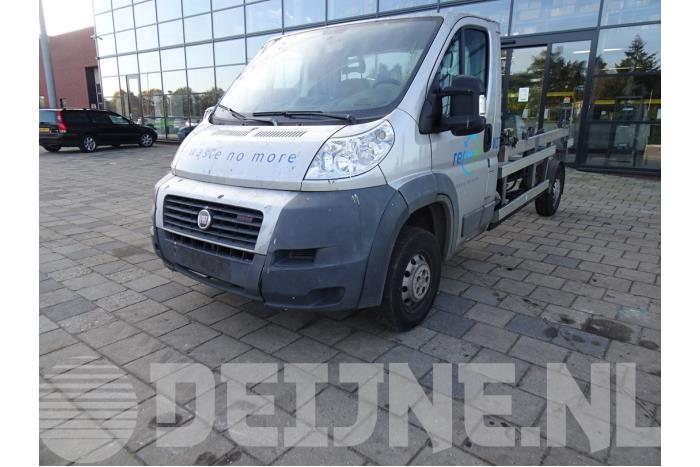 Foto donor auto