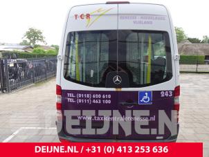 Mercedes Sprinter 06-