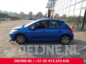 Peugeot 207 06-