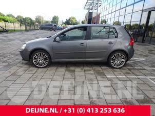 Volkswagen Golf 04-