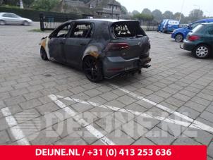 Volkswagen Golf 12-