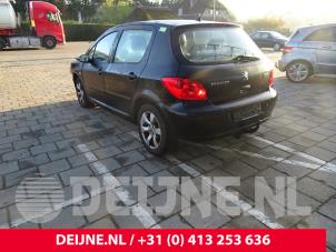 Peugeot 307 01-
