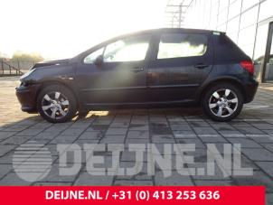 Peugeot 307 01-