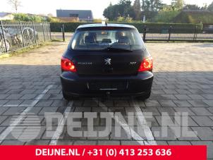 Peugeot 307 01-