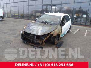 Volkswagen Golf 12-
