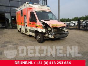 Mercedes Sprinter Galerij (Injectie) O248421 Donorvoertuig