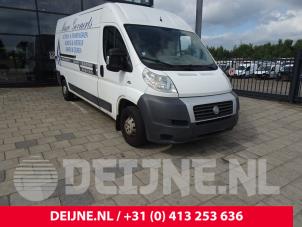 Fiat Ducato Dynamo O186214 Spenderfahrzeug