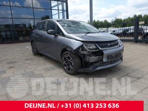 BYD Dolphin Kamera Vorderseite O269529 Spenderfahrzeug
