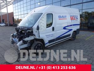 Fiat Ducato 14-