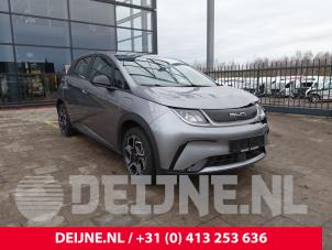 BYD Dolphin Miscellaneous O291921 Donor vehicle