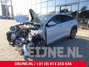 BYD Sea Lion 07