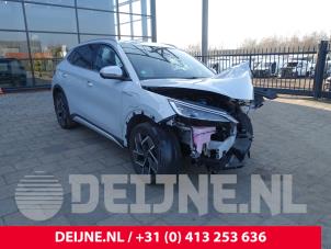 BYD Atto 3 Lautsprecher O297417 Spenderfahrzeug