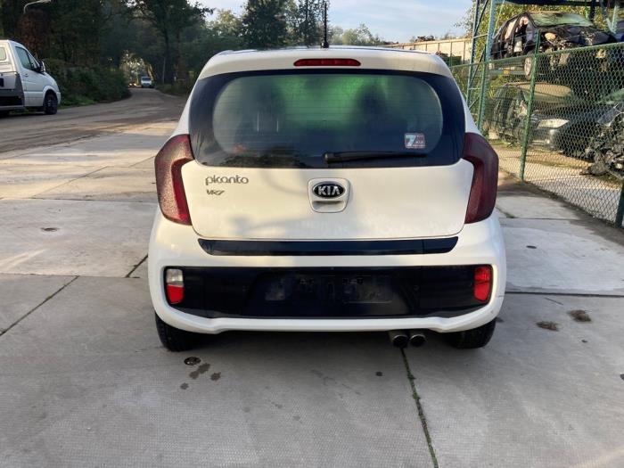Kia Picanto 1.0 12V Sloopvoertuig (2015, Wit)