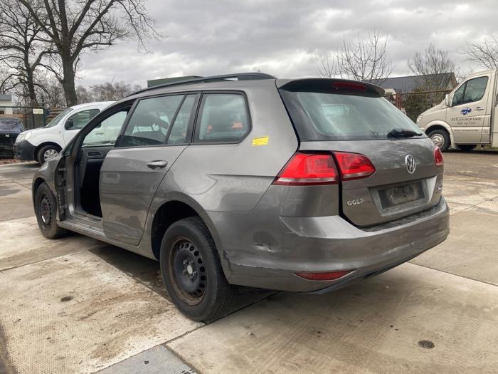Volkswagen Golf VII Variant 1.6 TDI 16V Sloopvoertuig (2013, Muisgrijs)