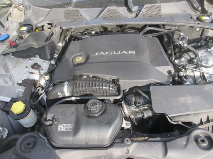 Jaguar XJ 3.0 D V6 24V Sloopvoertuig (2013, Goud)