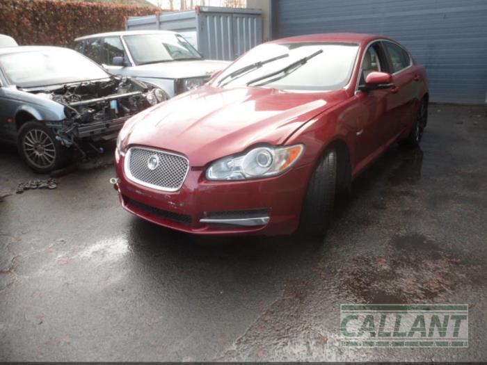 Jaguar XF 3.0 D V6 24V Sloopvoertuig (2009, CLARET)