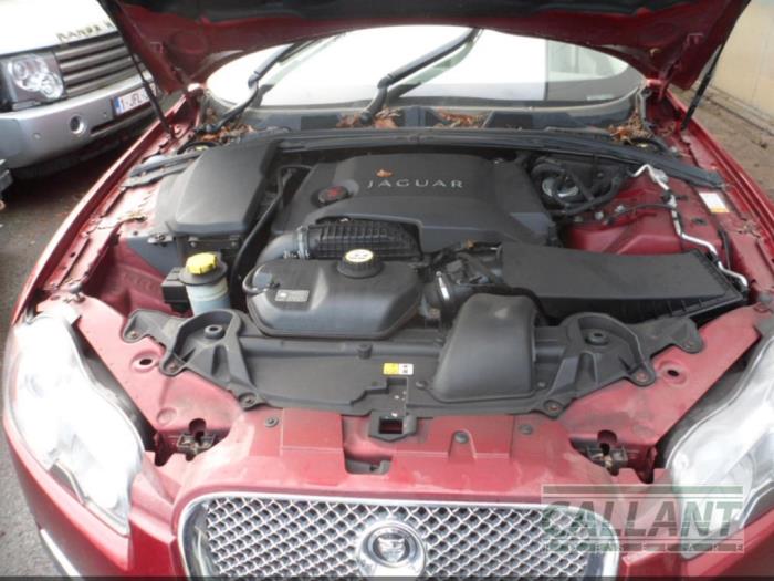 Jaguar XF 3.0 D V6 24V Sloopvoertuig (2009, CLARET)