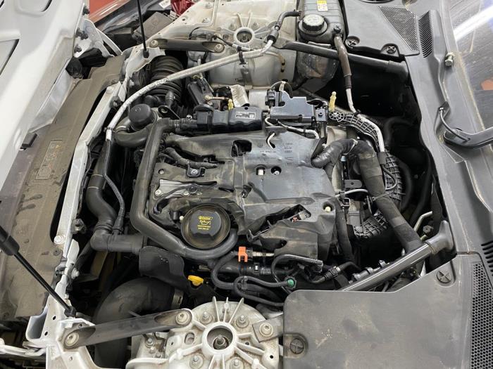 Jaguar F-type 2.0 Turbo 16V Sloopvoertuig (2019, Wit)