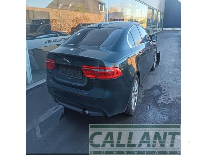 Jaguar XE 2.0 240 Turbo 16V Sloopvoertuig (2015, Groen)