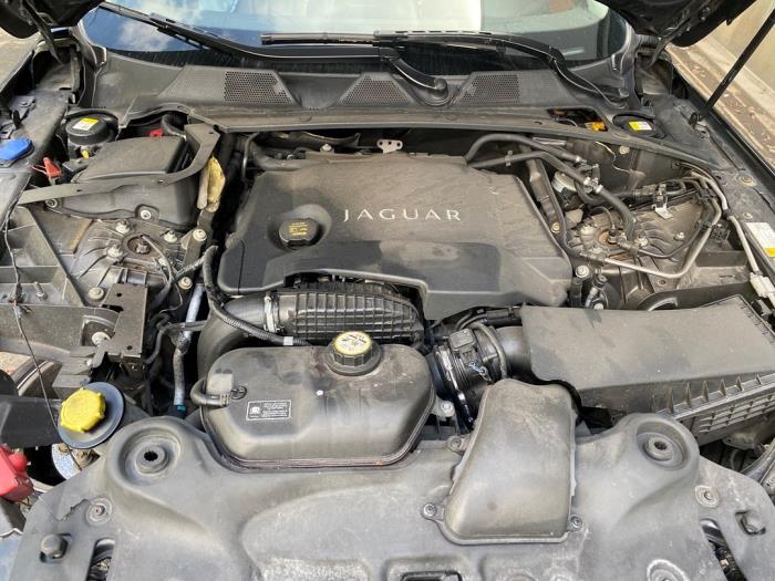 Jaguar XJ 3.0 D V6 24V Sloopvoertuig (2013, Grijs)