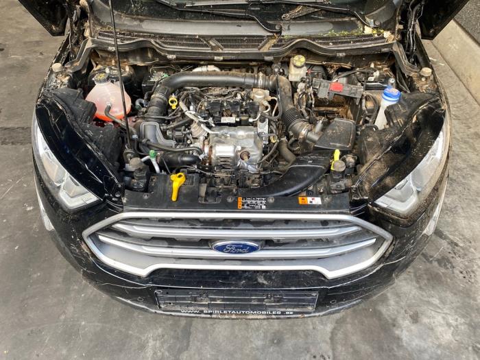 Ford EcoSport 1.0 EcoBoost 12V 125 Sloopvoertuig (2019, Zwart)