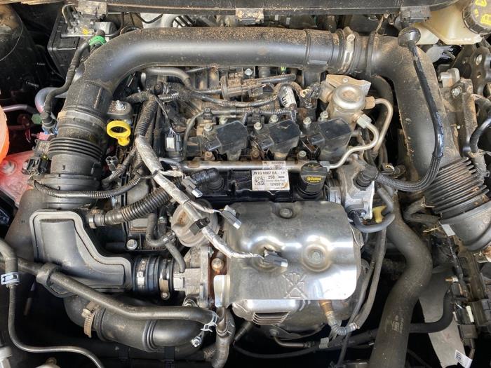 Ford EcoSport 1.0 EcoBoost 12V 125 Sloopvoertuig (2019, Zwart)