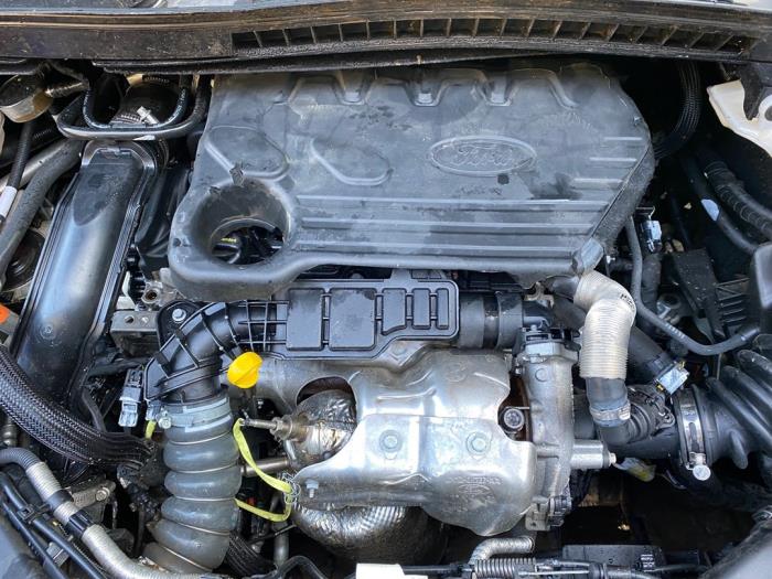 Ford Transit Connect 1.5 EcoBlue Sloopvoertuig (2020, Metallic, Zwart)