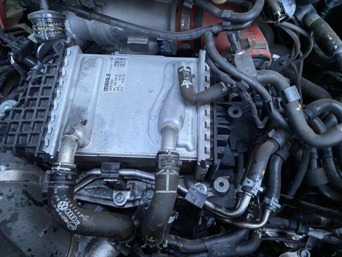 Volkswagen Transporter/Caravelle T6 2.0 TDI Sloopvoertuig (2020, Wit)