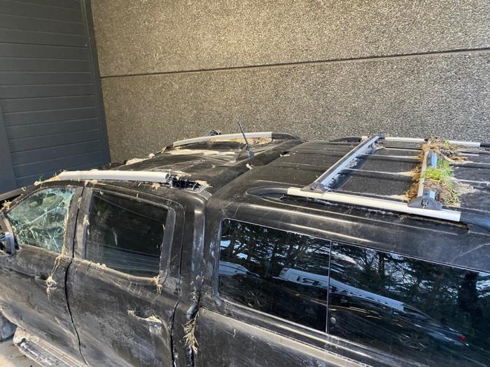 Ford Ranger 2.0 EcoBlue 16V 4x4 Sloopvoertuig (2020, Zwart)
