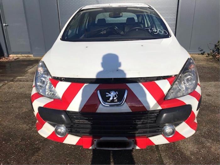 Peugeot 307 Break 1.6 HDi 90 16V Sloopvoertuig (2005, Wit)