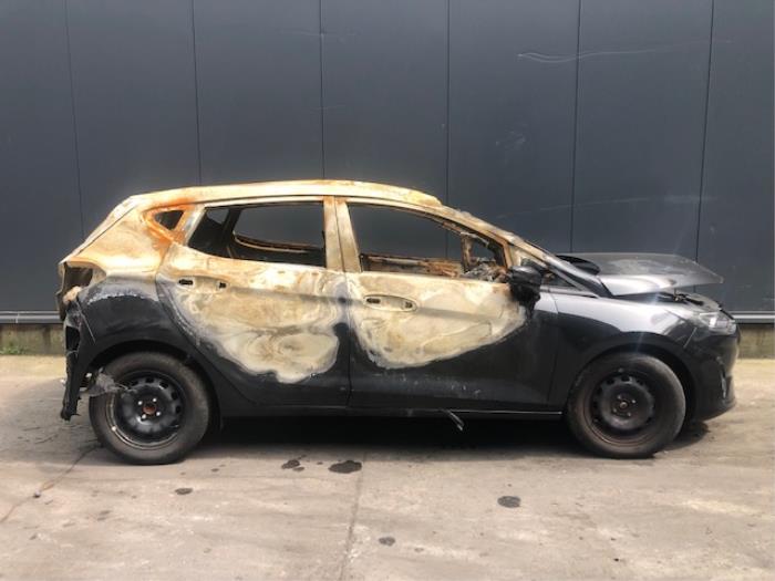 Foto donor auto