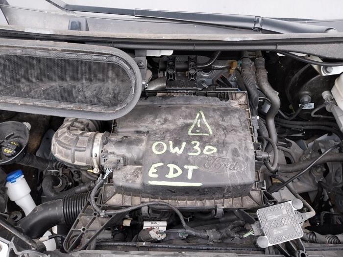 Ford Transit 2.0 TDCi 16V Eco Blue 170 Sloopvoertuig (2022, Wit)