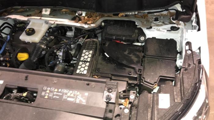 Renault Kangoo 1.5 Blue dCi 95 Sloopvoertuig (2023, Wit)