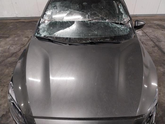 Ford Focus 4 1.0 Ti-VCT EcoBoost 12V 125 Sloopvoertuig (2019, Donker, Grijs)