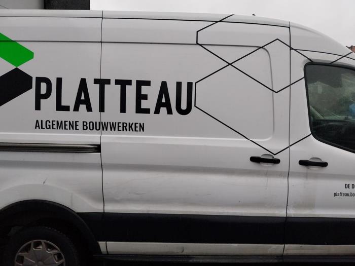 Ford Transit 2.0 TDCi 16V Eco Blue 130 Sloopvoertuig (2020, Wit)