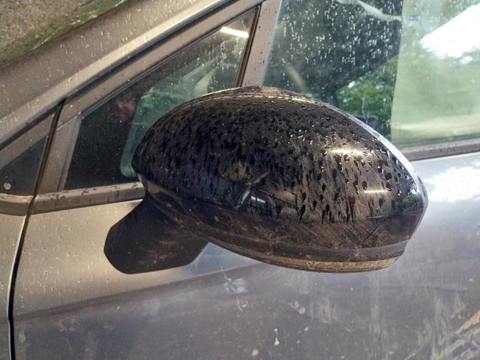 Renault Clio V 1.0 TCe 90 12V Sloopvoertuig (2023, Grijs)