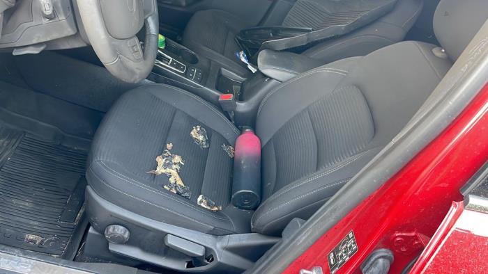 Ford Kuga III 1.5 EcoBlue Sloopvoertuig (2020, Rood)