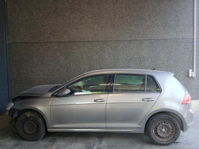 Volkswagen Golf VII 1.6 TDI 16V Sloopvoertuig (2013, Grijs)