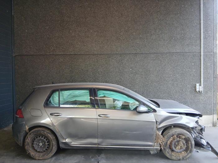 Volkswagen Golf VII 1.6 TDI 16V Sloopvoertuig (2013, Grijs)
