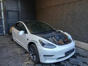 Tesla Model 3 Long Range AWD 75 kWh  (Sloop)