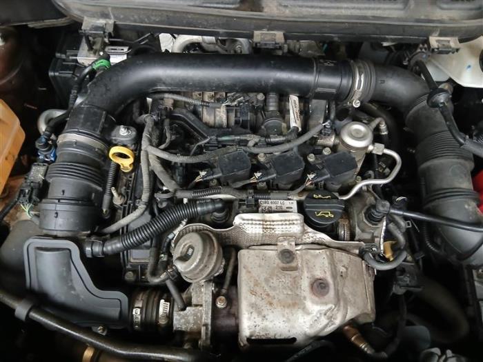 Ford EcoSport 1.0 EcoBoost 12V 125 Sloopvoertuig (2017, Bruin)