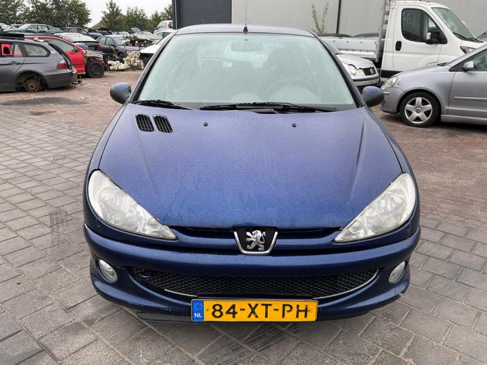 Peugeot 206 1.4 XR,XS,XT,Gentry Sloopvoertuig (2007, Blauw)
