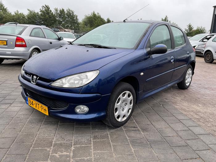 Peugeot 206 1.4 XR,XS,XT,Gentry Sloopvoertuig (2007, Blauw)