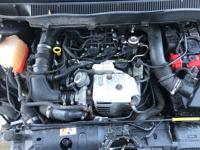 Ford B-Max 1.0 EcoBoost 12V 100 Sloopvoertuig (2013, MIDNIGHT SKY)