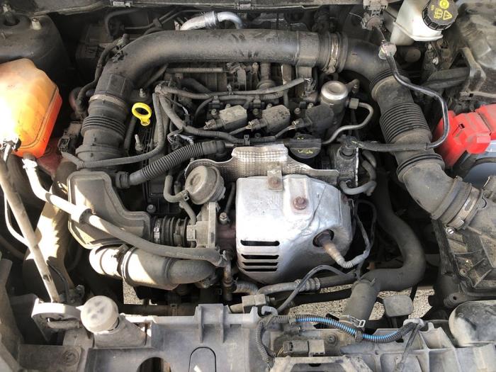 Ford EcoSport 1.0 EcoBoost 12V 125 Sloopvoertuig (2016, Smoke)