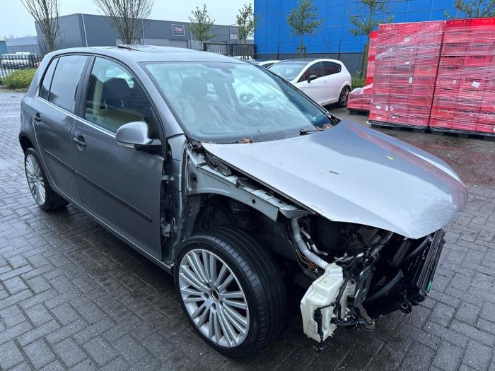 Volkswagen Golf V 1.6 FSI 16V Sloopvoertuig (2005, Grijs)